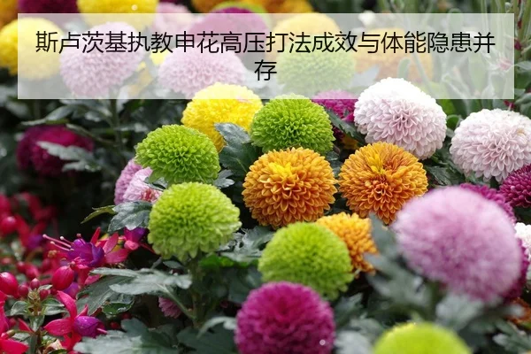 si-lu-ci-ji-zhi-jiao-shen-hua-gao-ya-da-fa-cheng-xiao-yu-ti-neng-yin-huan-bing-cun-1-857.jpg