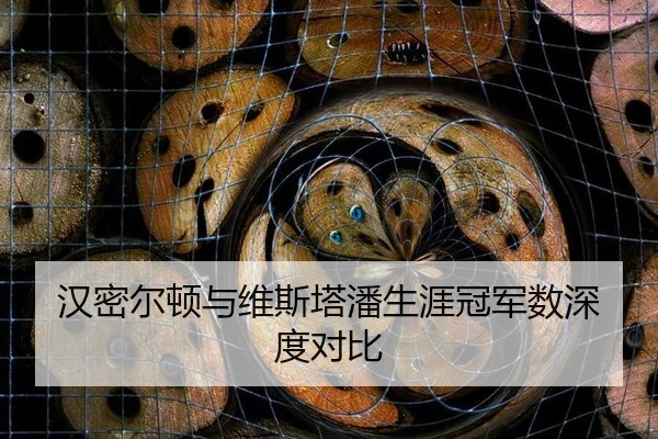 han-mi-er-dun-yu-wei-si-ta-pan-sheng-ya-guan-jun-shu-shen-du-dui-bi-1-777.jpg