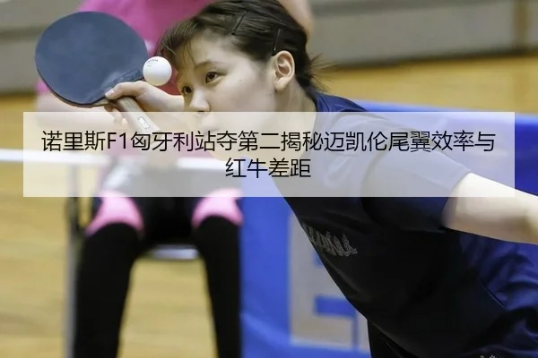 nuo-li-si-xiong-ya-li-zhan-duo-di-er-jie-mi-mai-kai-lun-wei-yi-xiao-lv-yu-hong-niu-cha-ju-2-402.jpg