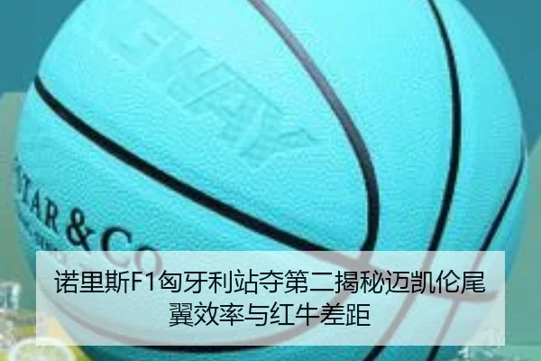 nuo-li-si-xiong-ya-li-zhan-duo-di-er-jie-mi-mai-kai-lun-wei-yi-xiao-lv-yu-hong-niu-cha-ju-3-917.jpg